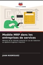 Juan Rodríguez - Modèle MRP dans les entreprises de services