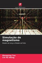 Mengying Tao, Chi Ho Wong - Simulação de magnetismo