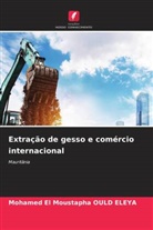 Mohamed El Moustapha OULD ELEYA - Extração de gesso e comércio internacional