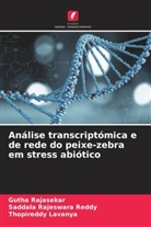 Thopireddy Lavanya, Gutha Rajasekar, Saddala Rajeswara Reddy - Análise transcriptómica e de rede do peixe-zebra em stress abiótico