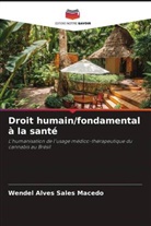 Wendel Alves Sales Macedo - Droit humain/fondamental à la santé