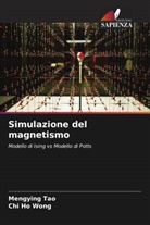 Mengying Tao, Chi Ho Wong - Simulazione del magnetismo