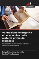 Rafael Cordeiro Carvalho, Carine Tondo Alves - Valutazione energetica ed economica delle materie prime da biomassa