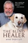 Mike Endicott - The Blind Healer