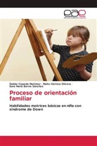 Sara María Berrio Sánchez, Dublar Cepeda Martinez, Maite Herrera Olivera - Proceso de orientación familiar