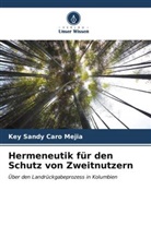 Key Sandy Caro Mejia - Hermeneutik für den Schutz von Zweitnutzern