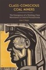 Alan J Singer, Alan J. Singer - Class-conscious Coal Miners