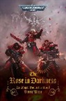 Danie Ware - Rose in Darkness