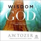 A W Tozer, William Sarris - The Wisdom of God (Hörbuch)