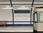 David Seltzer - Notes from the Underground