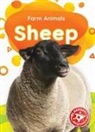 Rebecca Sabelko - Sheep