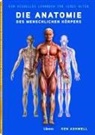 Ken Ashwell, Ken (Prof.) Ashwell - Die Anatomie des Menschlichen Körpers
