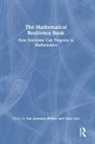 Sue Johnston-Wilder, Sue Lee Johnston-Wilder, Clare Lee, Sue Johnston-Wilder, Johnston-Wilder Sue, Clare Lee... - Mathematical Resilience Book