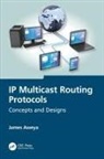 James Aweya, Aweya James - Ip Multicast Routing Protocols
