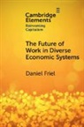Daniel Friel, Daniel (Universidad De San Andres) Friel, Friel Daniel - Future of Work in Diverse Economic Systems