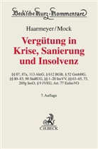 Hans Haarmeyer, Sebastian Mock - Vergütung in Krise, Sanierung und Insolvenz
