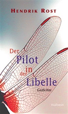 Hendrik Rost - Der Pilot in der Libelle