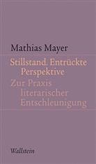 Mathias Mayer - Stillstand. Entrückte Perspektive