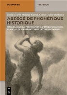 Guillot-Barbance, Céline Guillot-Barbance, Tobias Scheer, Philippe Ségéral - Abrégé de Phonétique Historique