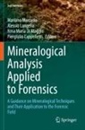 Piergiulio Cappelletti, Rosa Maria Di Maggio, Alessio Langella, Rosa Maria Di Maggio et al, Mariano Mercurio - Mineralogical Analysis Applied to Forensics