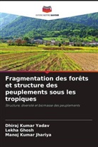 Lekha Ghosh, Manoj Kumar Jhariya, Dhiraj Kumar Yadav - Fragmentation des forêts et structure des peuplements sous les tropiques