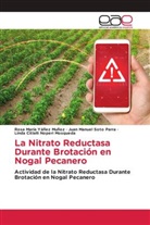 Linda Citlalli Noperi Mosqueda, Juan Manuel Soto Parra, Rosa María Yáñez Muñoz - La Nitrato Reductasa Durante Brotación en Nogal Pecanero