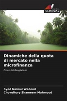 Chowdhury Shameem Mahmoud, Syed Naimul Wadood - Dinamiche della quota di mercato nella microfinanza