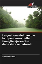 Seble Fekadu - La gestione del parco e la dipendenza delle famiglie ajacentine dalle risorse naturali