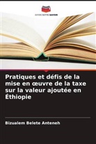 Bizualem Belete Anteneh - Pratiques et défis de la mise en oeuvre de la taxe sur la valeur ajoutée en Éthiopie