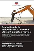 Rodolfo Barragan Ramirez, Andres González Hernández, David Angel Moreno Ramos - Évaluation de la compression d'un béton utilisant du béton recyclé