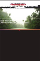 Chowdhury Shameem Mahmoud, Syed Naimul Wadood - Dynamique des parts de marché dans la microfinance