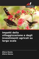 Afera Alemu, Afera Desta - Impatti della villaggizzazione e degli investimenti agricoli su larga scala