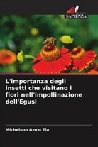 Michelson Azo'o Ela - L'importanza degli insetti che visitano i fiori nell'impollinazione dell'Egusi