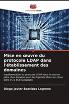 DIEGO JAVIER Bastidas Logroño - Mise en oeuvre du protocole LDAP dans l'établissement des domaines