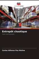 Carlos Alfonso Paz Molina - Entrepôt chaotique