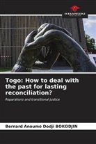 Bernard Anoumo Dodji Bokodjin - Togo: How to deal with the past for lasting reconciliation?