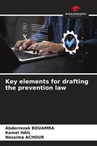 Nessima Achour, Abderrezak Bouamra, Kamel Hail - Key elements for drafting the prevention law