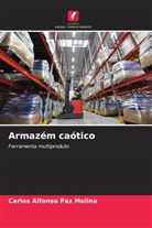 Carlos Alfonso Paz Molina - Armazém caótico