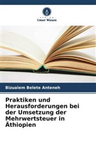 Bizualem Belete Anteneh - Praktiken und Herausforderungen bei der Umsetzung der Mehrwertsteuer in Äthiopien