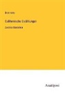 Bret Harte - Californische Erzählungen
