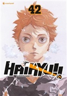 Haruichi Furudate, Haruichi Furudate - Haikyu!! - Band 42