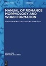 Philipp Burdy, Sarah Dessì Schmid, Daniela Marzo - Manual of Romance Morphology and Word Formation