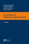 Dragana Damjanovic, Michael Holoubek, Hans Peter Lehofer, Kerstin Tobisch - Grundzüge des Telekommunikationsrechts