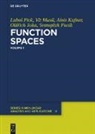 Svatopluk Fucík, Oldrich John, Alois Kufner, Alois et al Kufner, Vit Musil, Lubos Pick - Function Spaces, 1