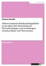 Thomas Schmidt - Selbstverstärkende Rückkopplungseffekte in der Arktis. Eine Betrachtung der Wechselwirkungen und Auswirkungen zwischen Klima- und Ökosystemen