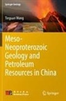 Tieguan Wang - Meso-Neoproterozoic Geology and Petroleum Resources in China