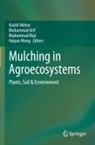 Kashif Akhtar, Muhammad Arif, Muhammad Riaz, Muhammad Riaz et al, Haiyan Wang - Mulching in Agroecosystems