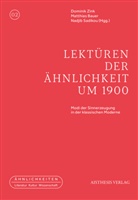 Matthias Bauer, Nadjib Sadikou, Dominik Zink - Lektüren der Ähnlichkeit um 1900