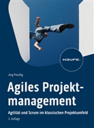 Jörg Preußig, Jörg (Dr.) Preussig - Agiles Projektmanagement