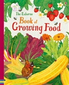 Abigail Wheatley, Anni Betts - Usborne book of Growing Food